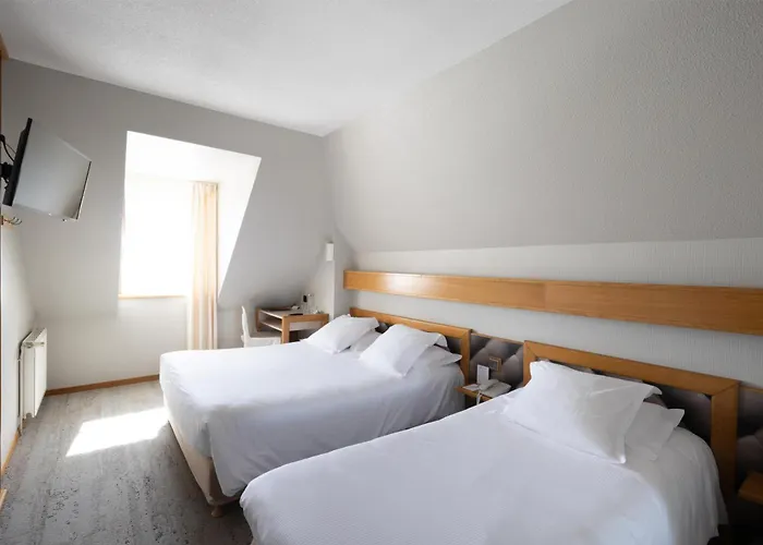 Hôtel accueillant les animaux: Best Western Le Relais de Laguiole Hôtel&Spa